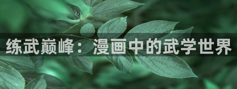 91漫画网址入口：练武巅峰：漫画中的武学世界